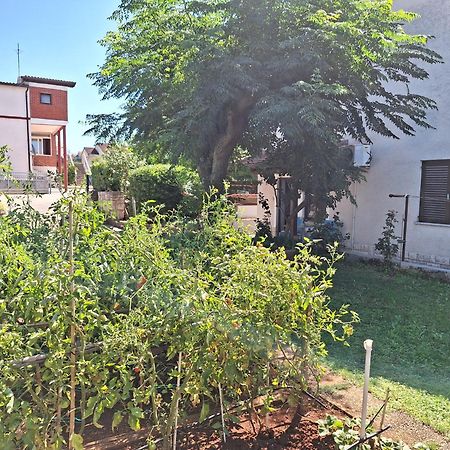 Apartments Reinic Novigrad  Exterior photo