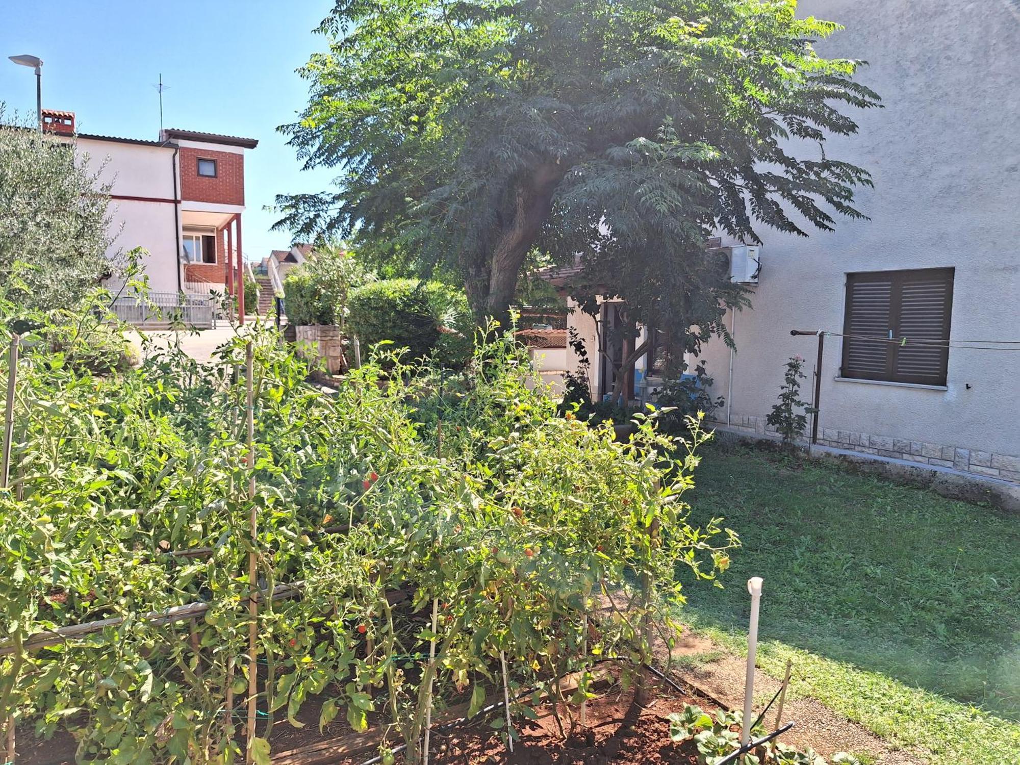 Apartments Reinic Novigrad  Exterior photo
