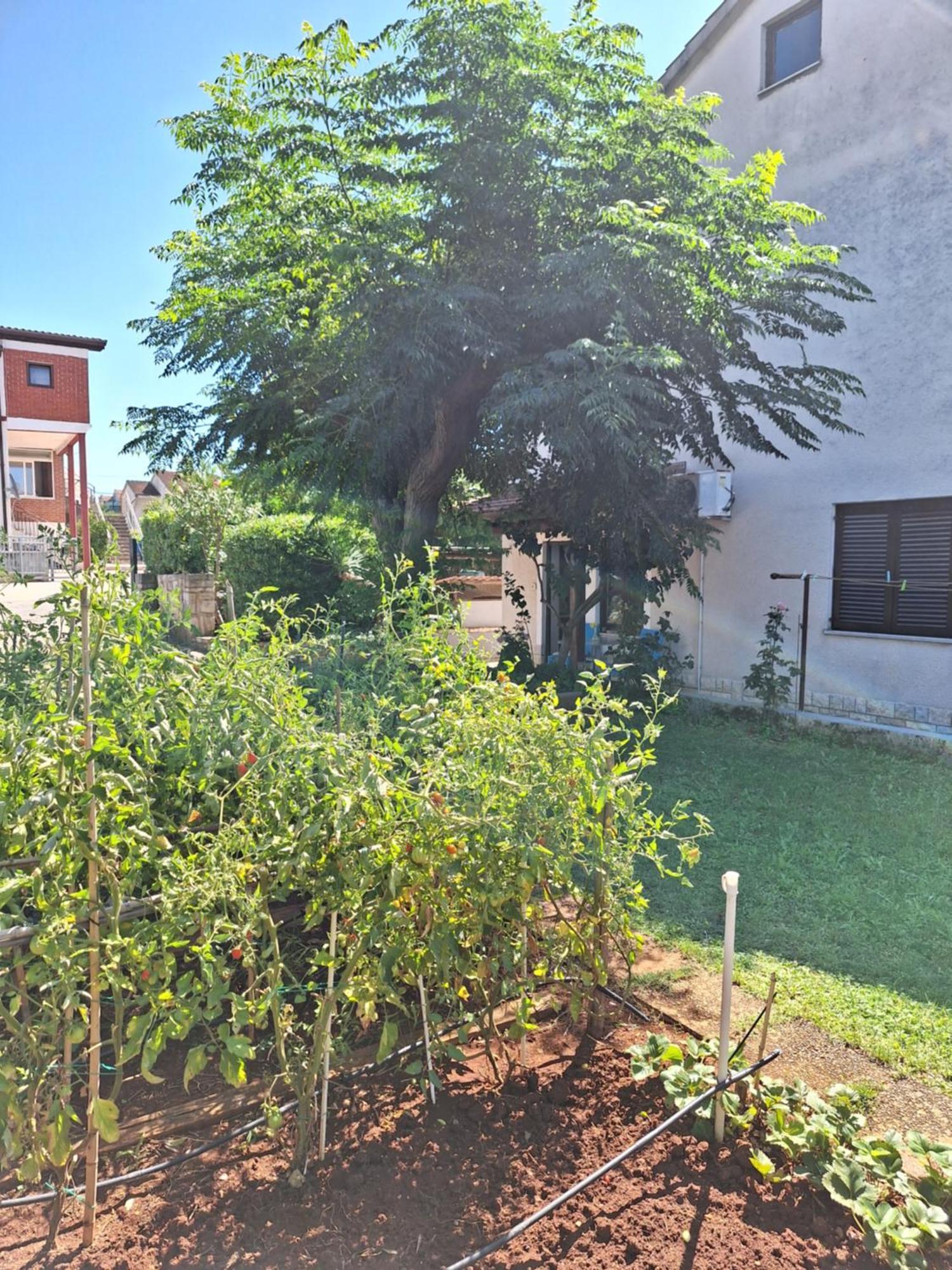 Apartments Reinic Novigrad  Exterior photo