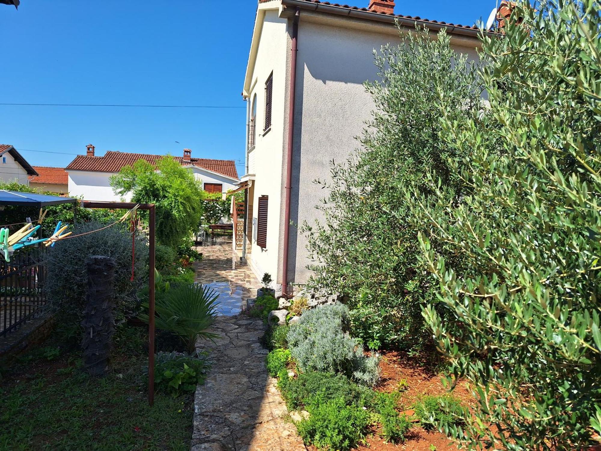 Apartments Reinic Novigrad  Exterior photo